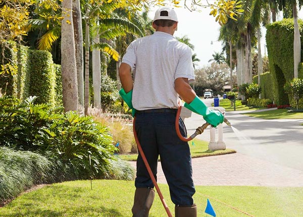 About Midland City AL Pest Control Pros